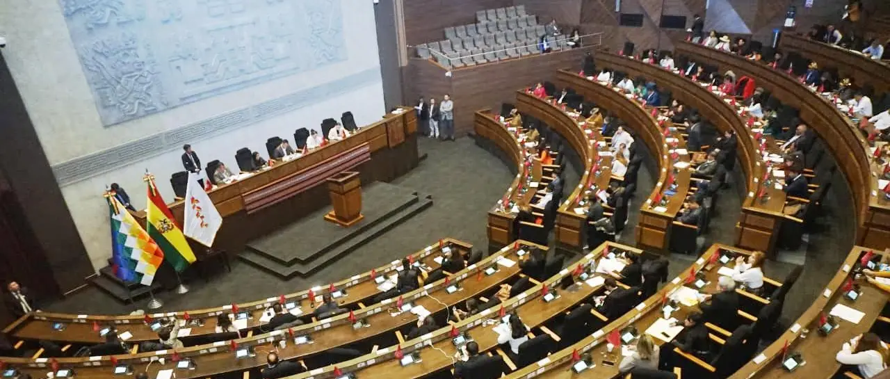 ALP: Sesión de interpelación al ministro Medinaceli se reanudará el martes