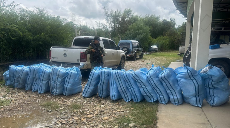 Confiscan más de 500 kilos de marihuana en Tarija