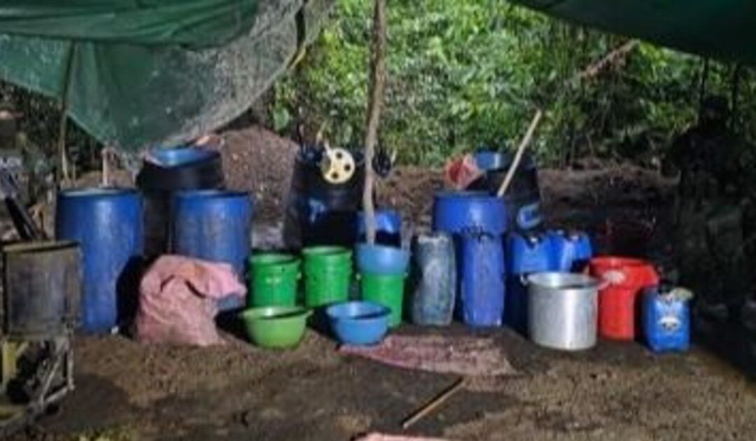 Solo en un día, hallan 291 kilos de drogas y miles de litros de sustancias químicas