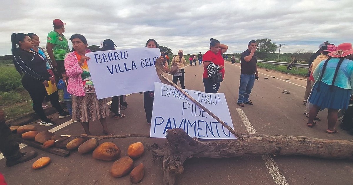 Mora de Bs 595 millones en créditos públicos complica financiamientos