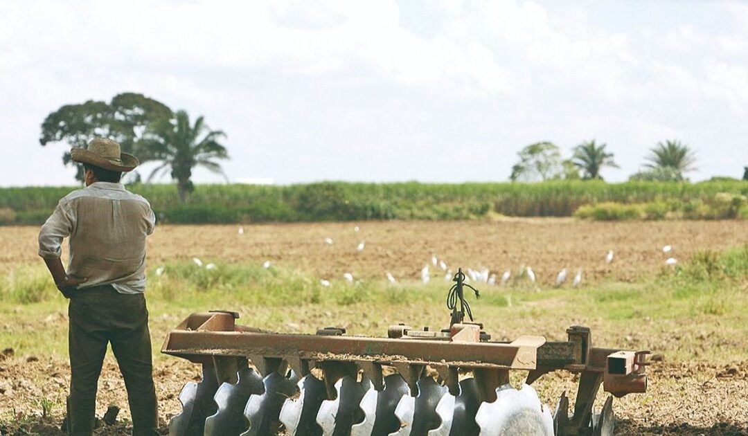 Paz defiende la ley 1720 y activa diálogo técnico en el país con los marchistas