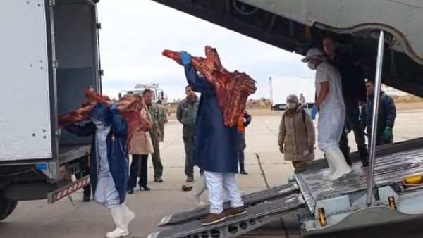 Un avión militar trae desde Santa Cruz 10 toneladas de carne para la venta en El Alto