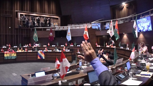 Senado acelera la aprobación del proyecto de ley de estado de excepción