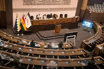 Diputados aprueba la Ley de Estados de excepción y la remite al Ejecutivo para su promulgación