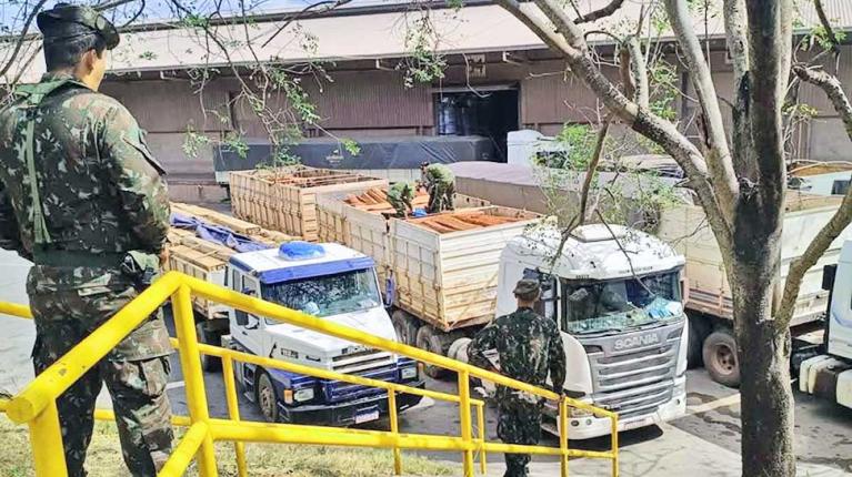 Descartan la presencia de cocaína en la madera y liberan las cargas retenidas