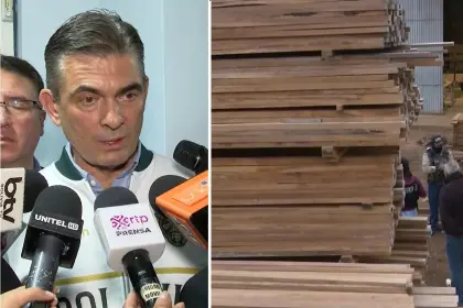 Madera boliviana: Paz anuncia acciones y cuestiona posturas políticas que afectaron al sector forestal