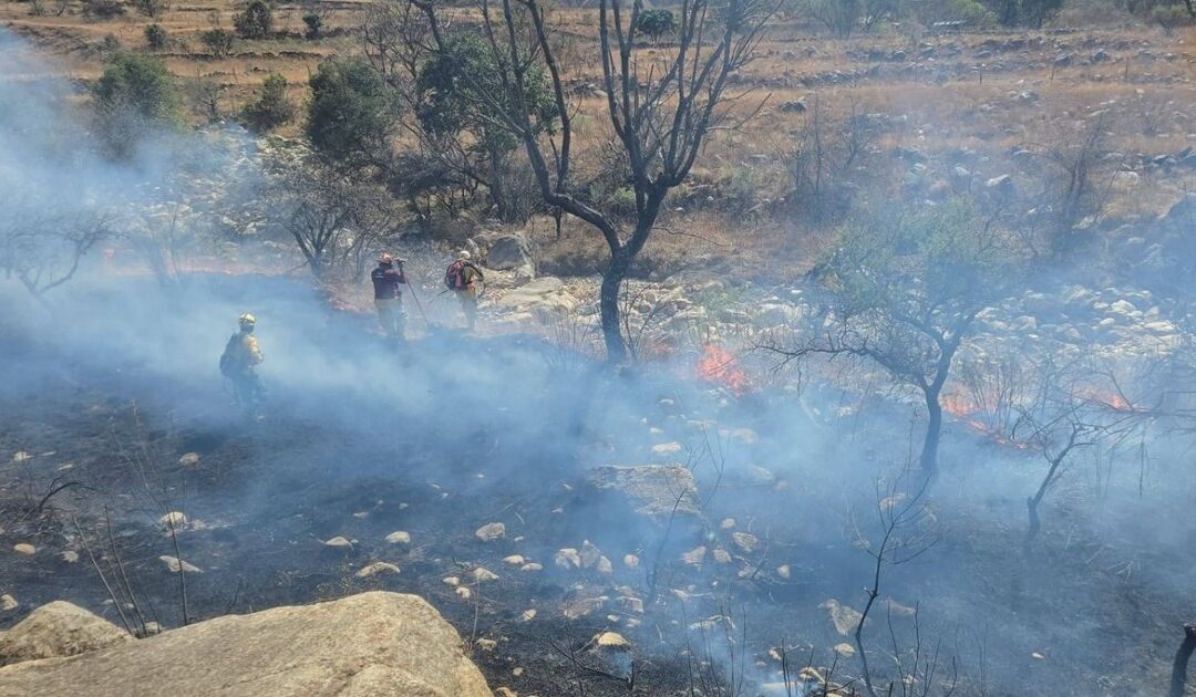 Tarija: COED declara estado de emergencia por incendios forestales
