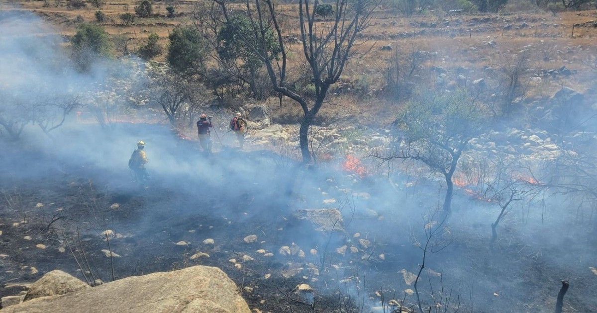 Tarija: COED declara estado de emergencia por incendios forestales