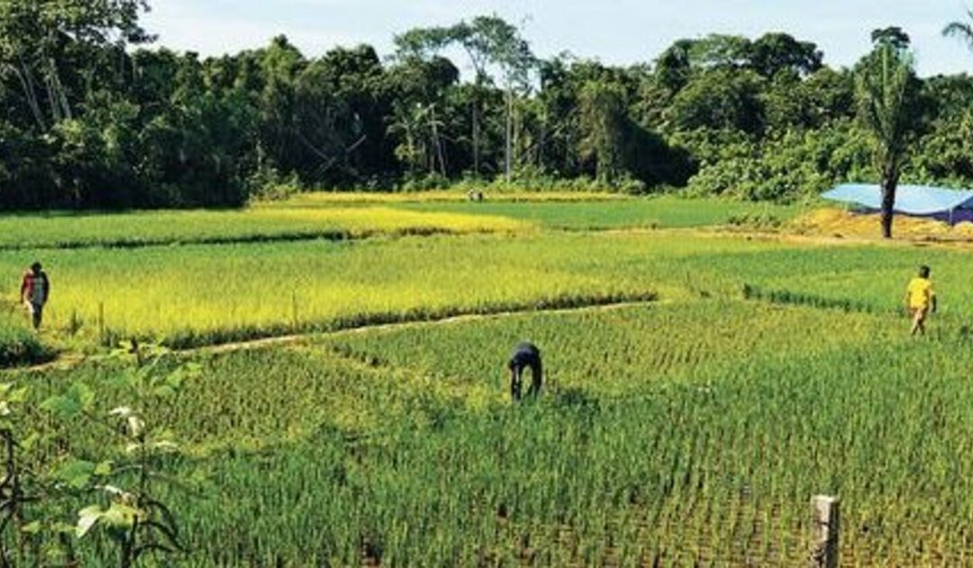 Santa Cruz instala su Comisión Agraria y promete una nueva etapa en la defensa del territorio