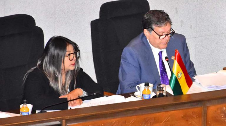 Votos de la oposición salvan a ministro de Hidrocarburos de censura en la ALP