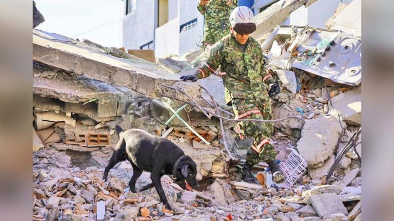 El número de muertos en Colombia aumenta a 221 tras terremoto