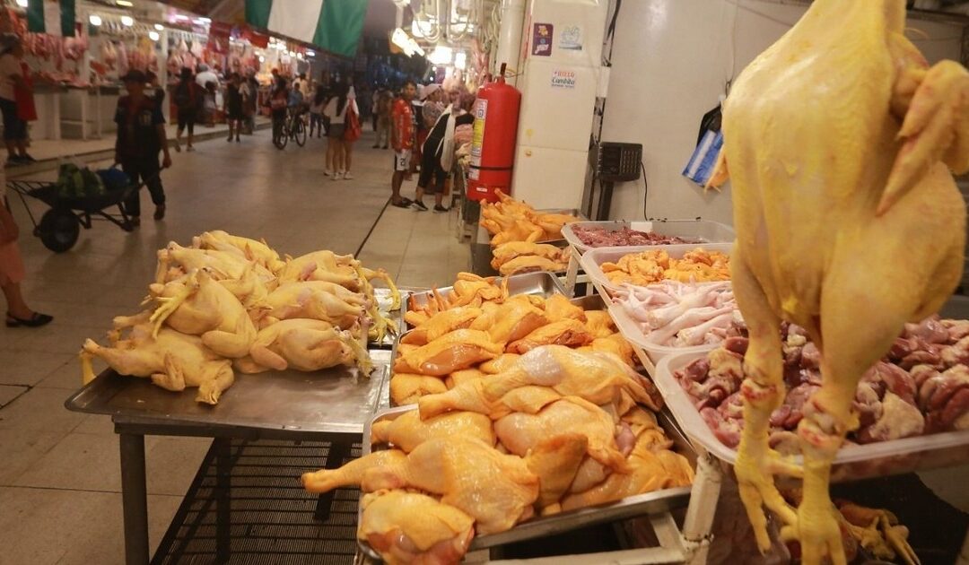 Tras fin del subsidio al diésel, avicultores anticipan incremento en el precio del pollo