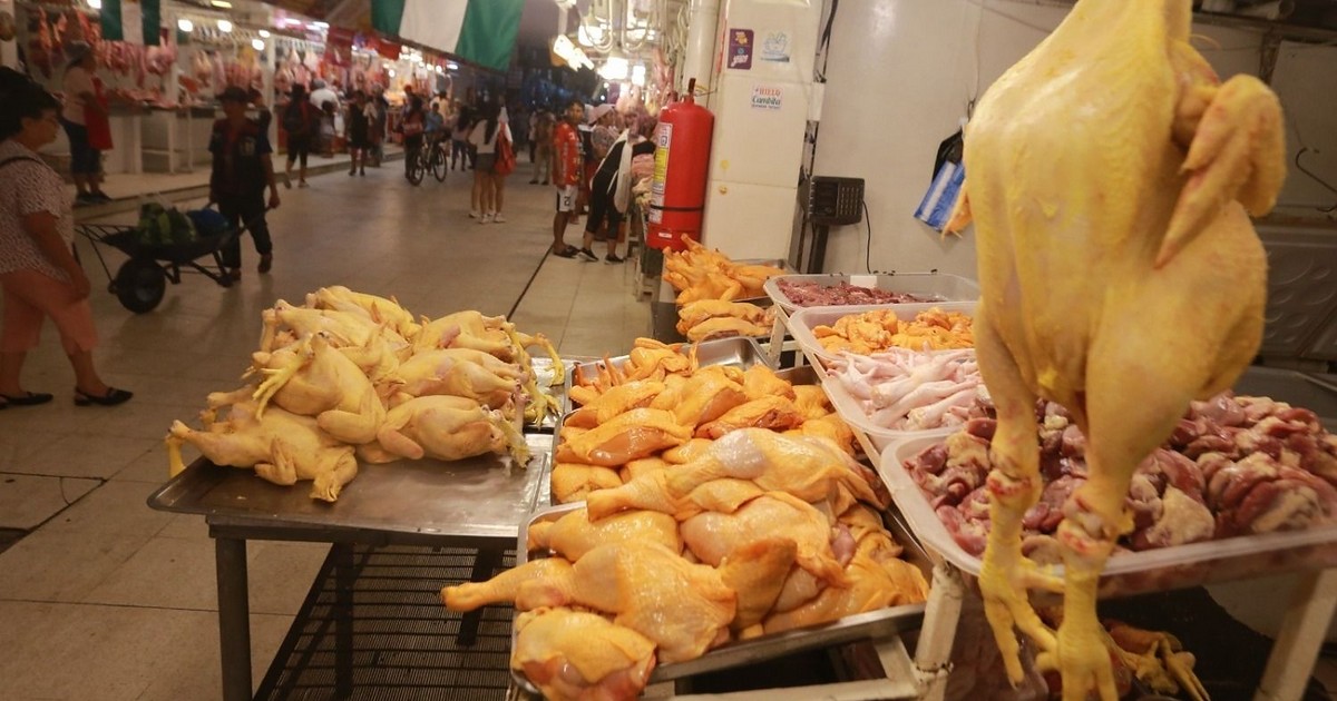 Tras fin del subsidio al diésel, avicultores anticipan incremento en el precio del pollo