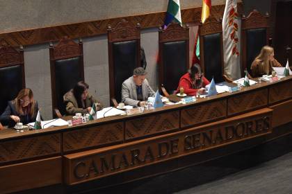 Senado sanciona crédito de $us 500 millones del BID para el pago de la Renta Dignidad