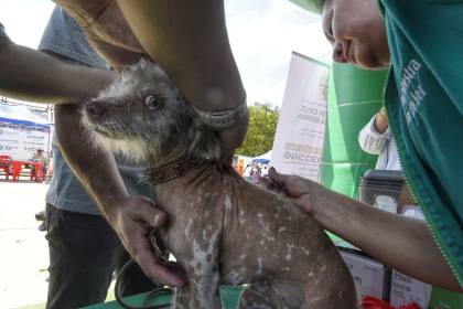 Con sus mascotas en brazos, familias participan de la vacunación antirrábica en toda Bolivia