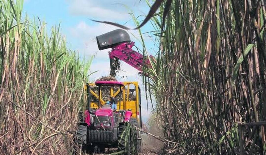 Los sectores de infraestructura y agropecuario serán los mayores beneficiarios con la inversión pública del PGE 2027